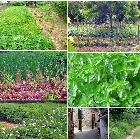 Pure Mountain - Serra Da Estrela