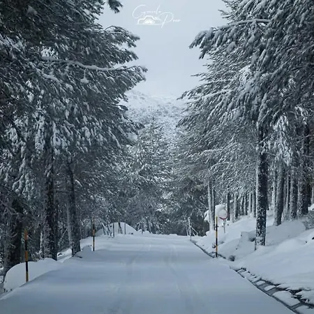 Pure Mountain - Serra Da Estrela アパート *