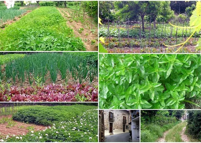 Pure Mountain - Serra Da Estrela