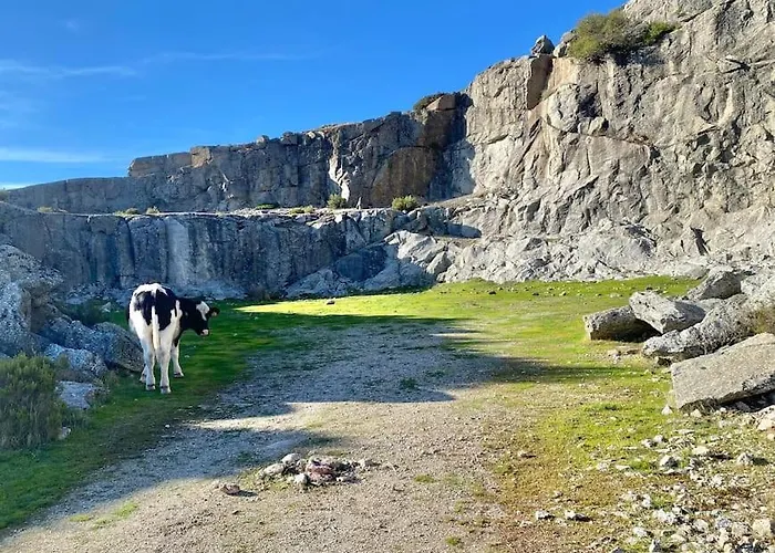 Appartement Pure Mountain - Serra Da Estrela
