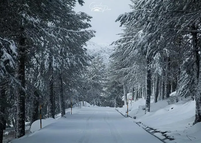 Pure Mountain - Serra Da Estrela Appartement *